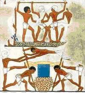 san xuat vang